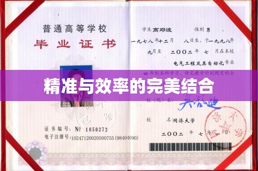 抚顺精准与效率的完美结合